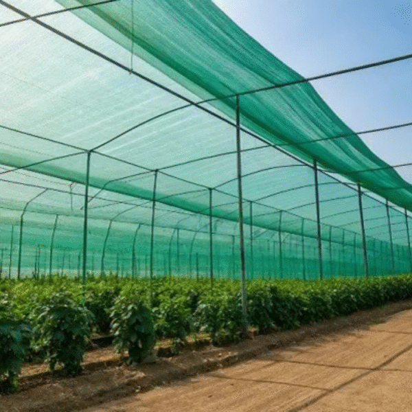 Shade Net