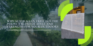 Australian Trellis panels used as stylish garden privacy screen