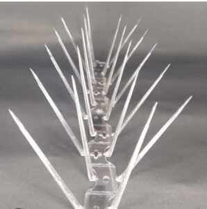 Transparent bird spikes on drainage pipes preventing birds from perching.