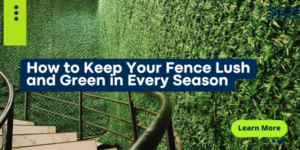 Tired of maintaining real plants? Discover how the Privezy Grass Wall keeps your fence lush, green, and maintenance-free all year.